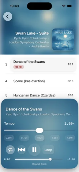 Cadence iPhone track list with repeat enabled